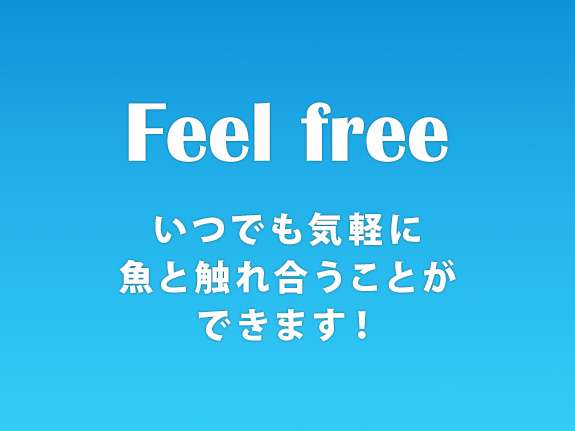 Feel free