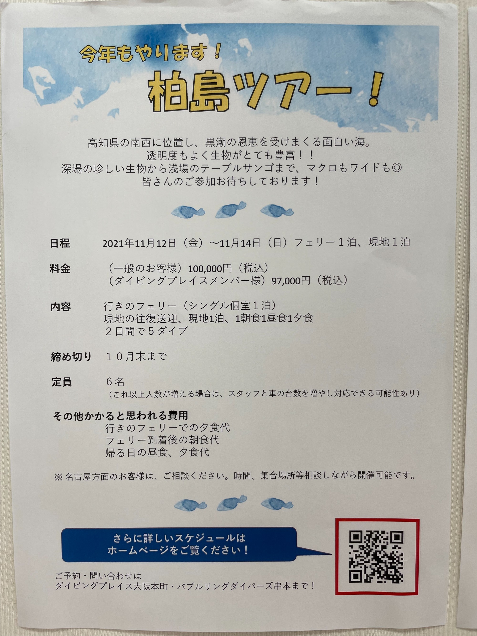 パラオツアー詳細決定！！